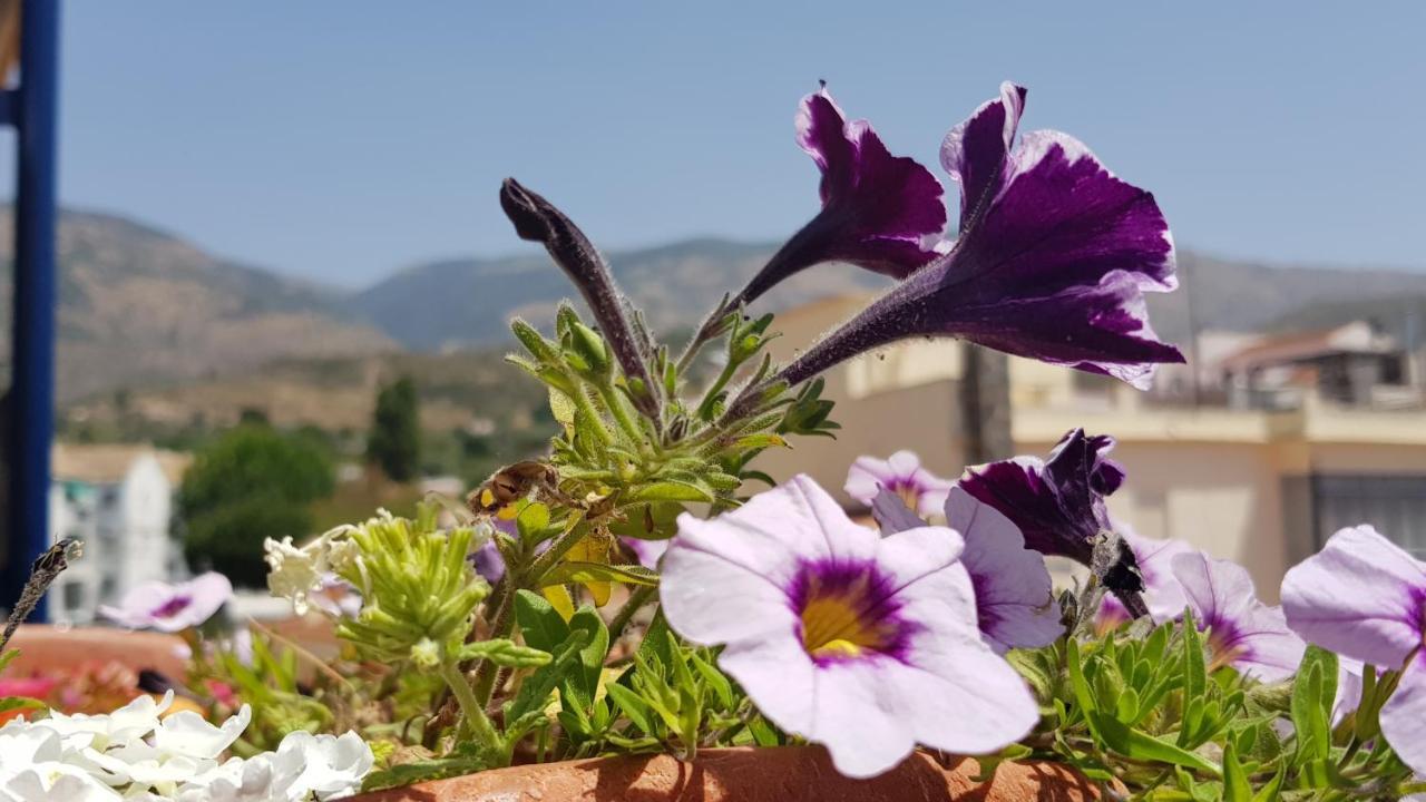 Posada Alpujarra Sol Орхіва Екстер'єр фото