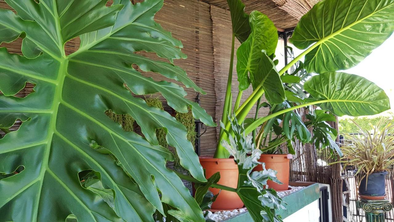 Posada Alpujarra Sol Орхіва Екстер'єр фото